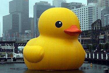 Read more about the article 黃鴨呼吸親子練習